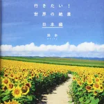 一人でも大勢でも楽しめる