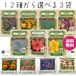 エディブルフラワー 種セット
