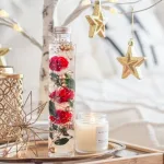Christmas Toilette トワレ