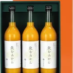 飲むみかん 3本入り