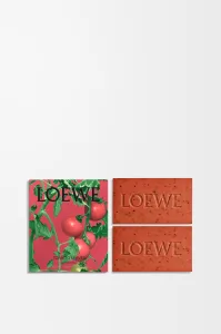 LOEWE／ロエベ トマトリーフ ソープバー デュオセット