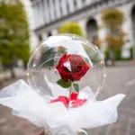誕生日やお祝い事にも応用できる