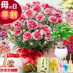 母の日ギフト