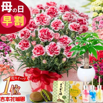 手入れもしやすい