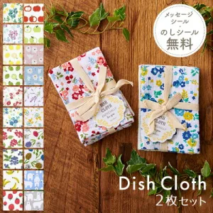 Sunny Style／サニースタイル ディッシュクロス2枚セット