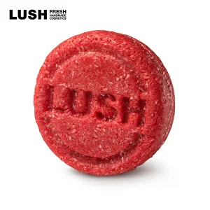 LUSH／ラッシュ シャンプーバー