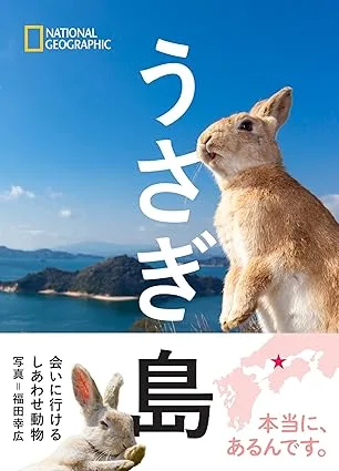 うさぎファン必読の一冊