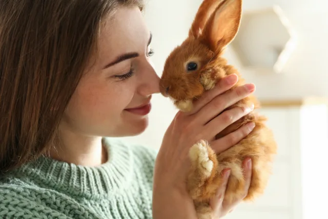 うさぎ好きへプレゼント！お洒落な雑貨からうさぎを飼っている人に喜ばれる13選