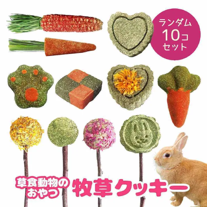 サクサク美味しい!栄養満点のうさぎ用おやつ