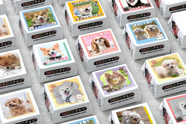 ［11月1日は犬の日］愛犬の画像でチョコを作ろう！ DECOチョコ「DECOチョコ犬フェス」