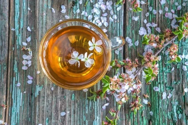 プチプラなのに豪華に感じる紅茶プチギフト13選｜定番ブランドからオシャレギフトまで