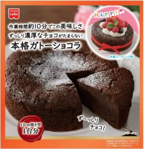 共立食品 本格ガトーショコラキット 170g