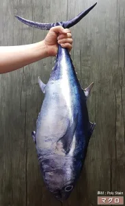 fish&fancy “魚”クッション ぬいぐるみ (マグロ)