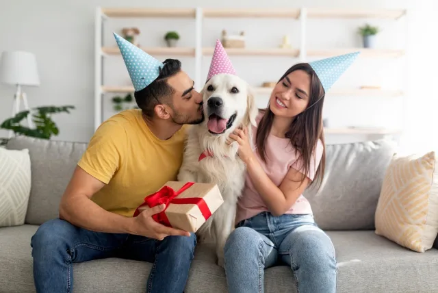 動物好き男女に贈るプレゼント！子供から大人、ペットも喜ぶアニマルギフト14選
