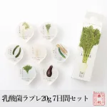 乳酸菌ラブレ20g 7日間セット
