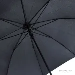 雨の日が待ちどしくなる