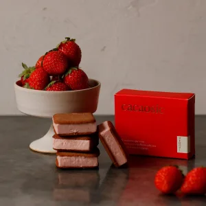 cacaosic／カカオシック ピスタチオ×ストロベリー 4個セット