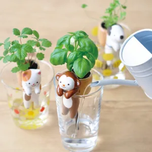背中のかごで育てる植物 しっぽん