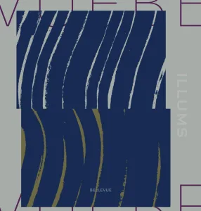 ILLUMS／イルムス ギフトカタログ ベルビュー（BOX付き）