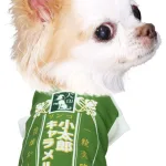 ご近所の話題独占!