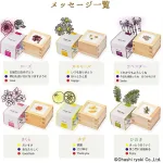 枡に隠されたメッセージにドキリ！