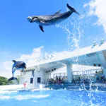 行ってみたかったあの水族館へお出かけ！