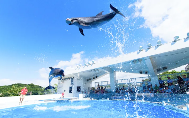 行ってみたかったあの水族館へお出かけ!