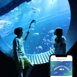 Aquarium TICKET（ペア）