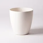 お部屋に飾って仕事運や金運アップへ