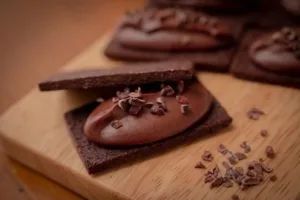Soy Chocola／ソイショコラ ヴィーガンバターサンド 8個入り（ショコラカカオニブ）