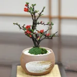 ミニ長寿梅 万古焼 ハケメ丸鉢