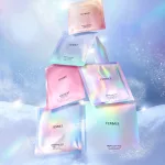 ウィンターコンプリートセット