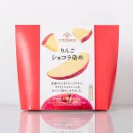 りんごショコラ染め 40g