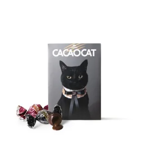 DADACA／ダダカ CACAOCAT 6個入 CAT