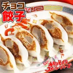 チョコっと餃子