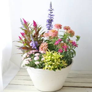 専門店の寄せ植えギフト