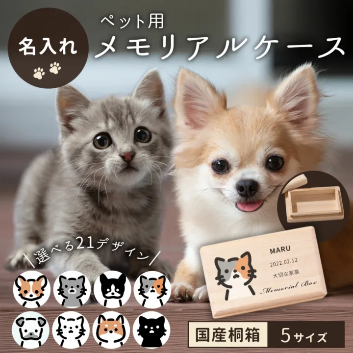幸運を引き寄せる!?猫ちゃんのヒゲ専用ケース