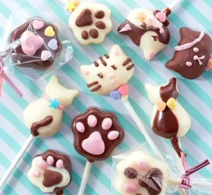 共立食品 ねこポップチョコキット