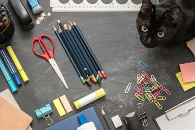 猫グッズのプレゼントはいかが?猫好きの女性・男性に捧げる人気アイテム16選