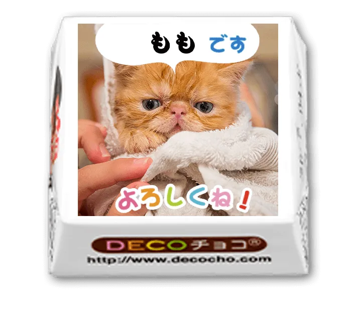 猫好きさんが驚くセンスのいいプチギフト
