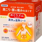 蒸気の温熱シート 16枚入