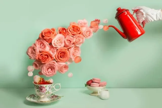 ホワイトデーのお返しにお洒落な紅茶を｜素敵な印象が残るおすすめ13選