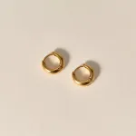 顔まわりが華やぐピアス