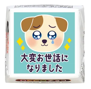 バラマキギフトにもおすすめ