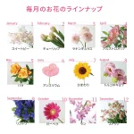 地方にお住まいの女性も行きやすい