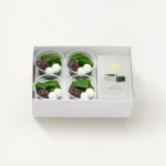 日本茶の美味しさをそのまま閉じ込めた