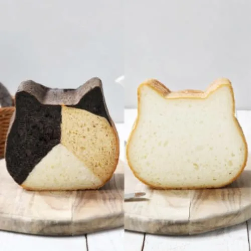 ねこねこハウスBOXにメロメロ！