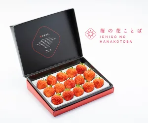 苺の花ことば 越後姫