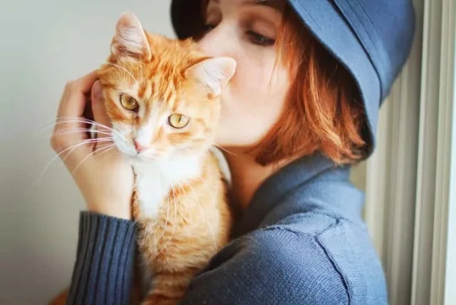 母の日のプレゼントに喜ばれる猫グッズ・スイーツ！猫好き大満足のおしゃれなギフト28選
