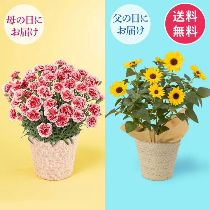 母の日・父の日前後にそれぞれお届け
